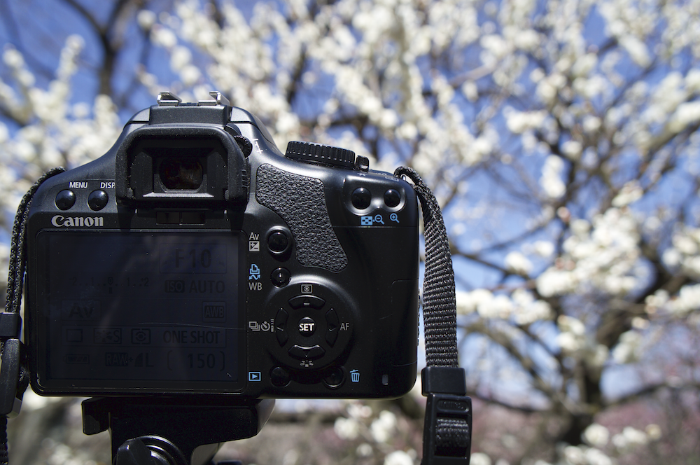 旅のしおりとは
